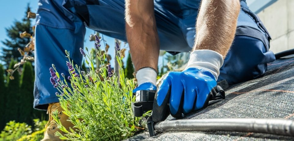 Çandarlı Sulama Sistemleri, Çandarlı Bahçe Sulama Sistemleri, Çandarlı Otomatik Sulama Sistemleri, Sulama Sistemleri Çandarlı, Çandarlı Sulama Sistemleri Fiyatları