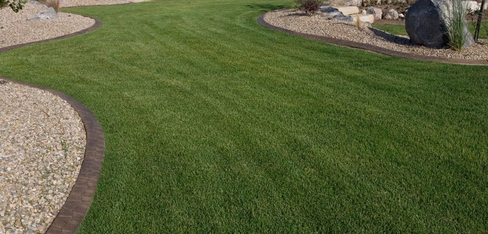 Çeşme Peyzaj Firmaları, Peyzaj Firmaları Çeşme, Çeşme Bahçe Bakımı, Çeşme Peyzaj, Çeşme Bahçe Bakımı Hizmetleri