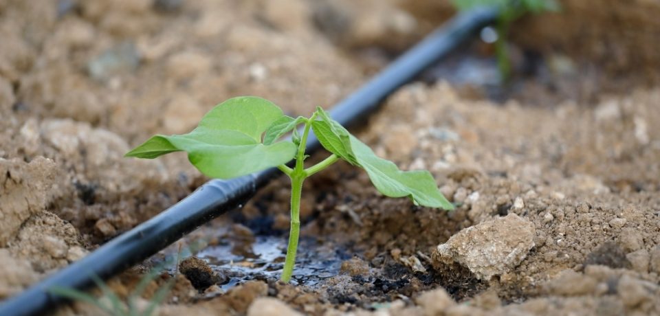 Çeşme Sulama Sistemleri, Çeşme Bahçe Sulama Sistemleri, Çeşme Otomatik Sulama Sistemleri, Sulama Sistemleri Çeşme, Çeşme Sulama Sistemleri Fiyatları