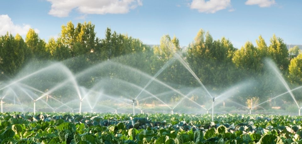 Foça Sulama Sistemleri, Foça Bahçe Sulama Sistemleri, Foça Otomatik Sulama Sistemleri, Sulama Sistemleri Foça, Foça Sulama Sistemleri Fiyatları