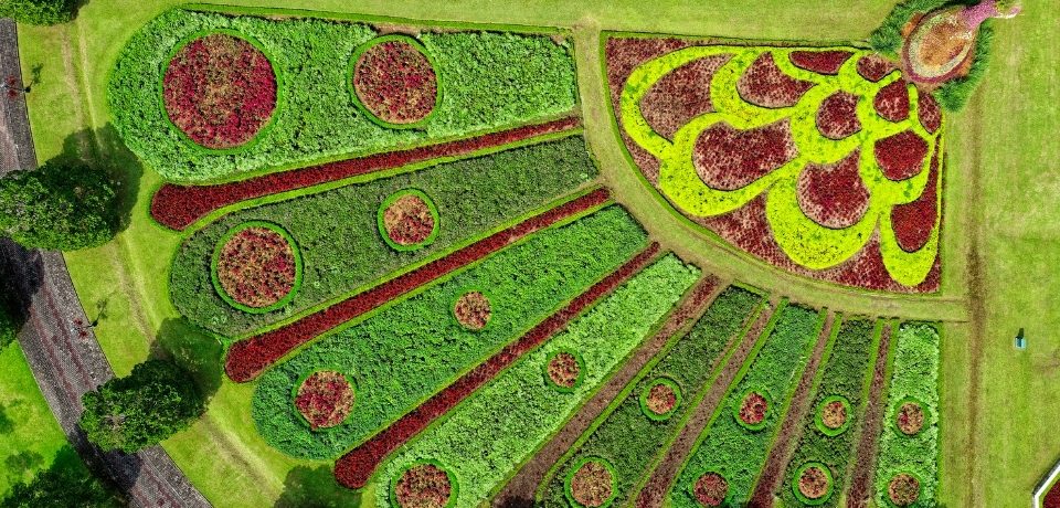 Gümüldür Peyzaj Firmaları, Peyzaj Firmaları Gümüldür, Gümüldür Bahçe Bakımı, Gümüldür Peyzaj, Gümüldür Bahçe Bakımı Hizmetleri