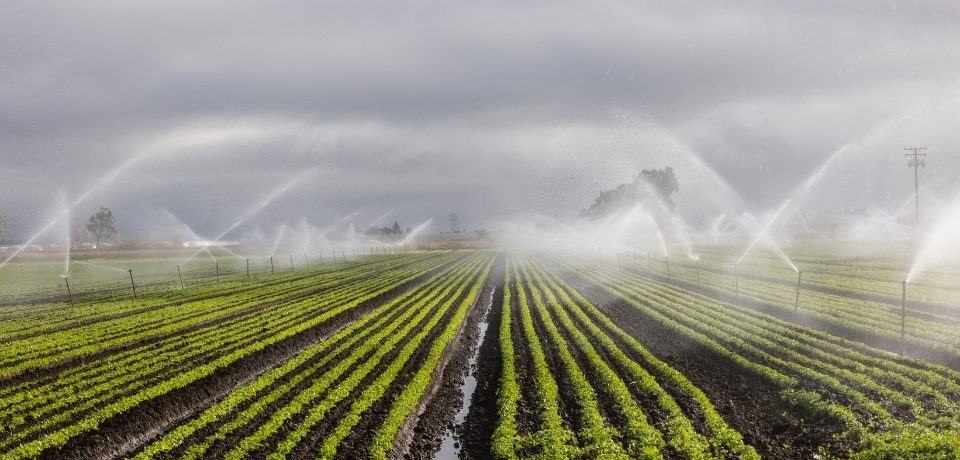 Ürkmez Sulama Sistemleri, Ürkmez Bahçe Sulama Sistemleri, Ürkmez Otomatik Sulama Sistemleri, Sulama Sistemleri Ürkmez, Ürkmez Sulama Sistemleri Fiyatları