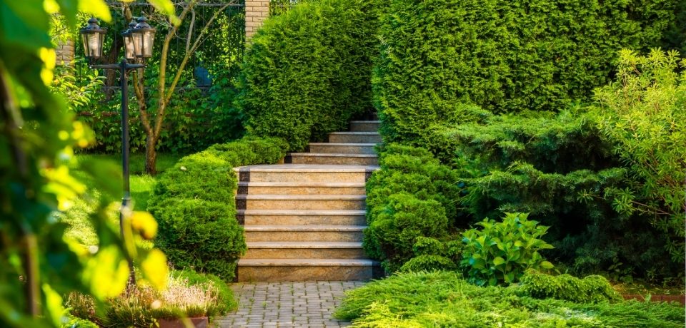 Urla Peyzaj Firmaları, Peyzaj Firmaları Urla, Urla Bahçe Bakımı, Urla Peyzaj, Urla Bahçe Bakımı Hizmetleri